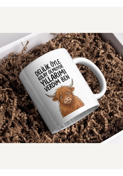 "delilik Öyle Kolay Olmuyor Yıllarımı Verdim" Esprili İnek Kupa