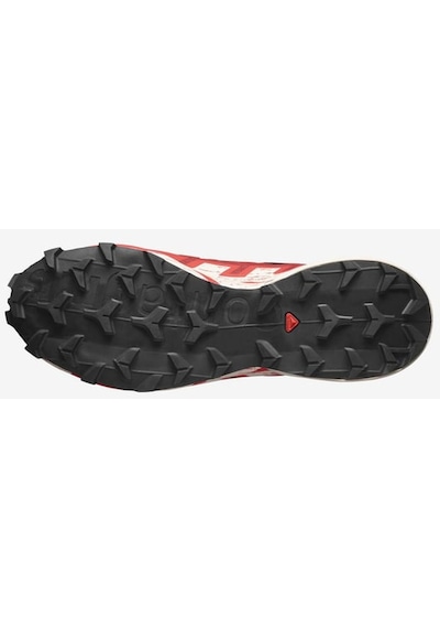 Salomon Speedcross 6 Gtx Erkek Koşu Ayakkabısı L47301800 001