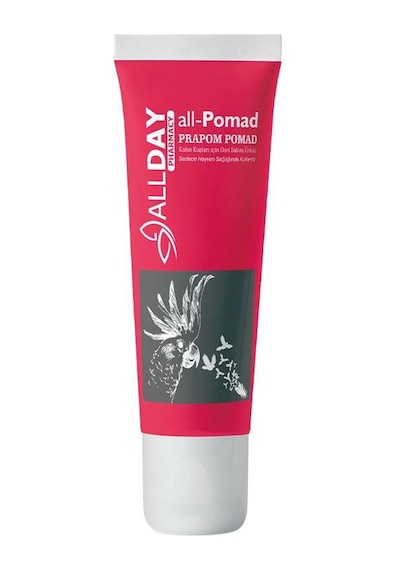 Allday All-Pomad Kuşlar için Deri Bakım Ürünü 30 G
