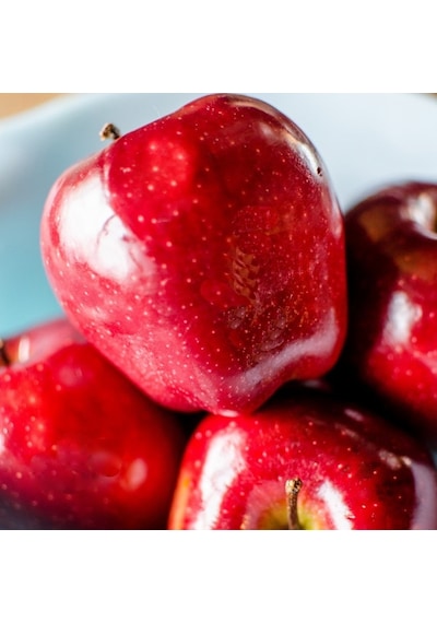 Tüplü Aşılı Tam Bodur Red Miracle Kırmızı Mucize Elma Fidanı