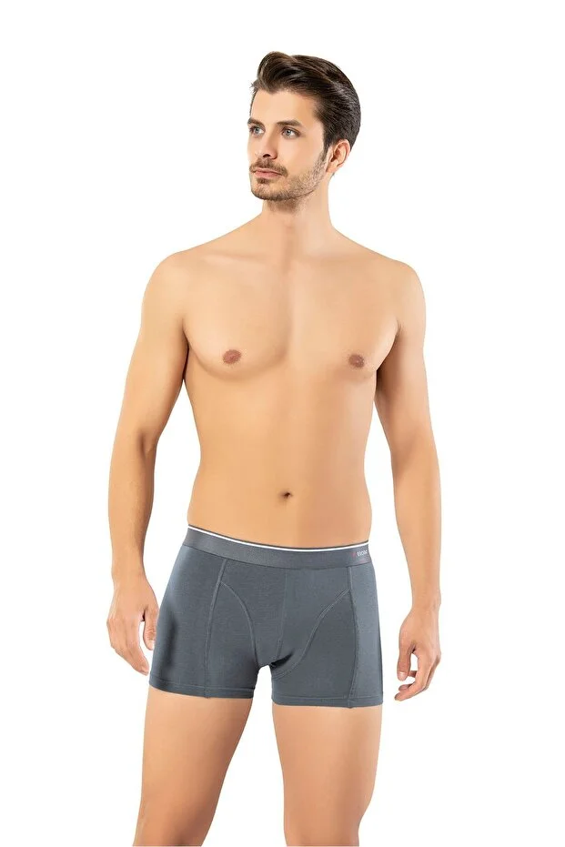 Erdem Erkek Füme Pamuk Klasik Boxer Kutulu- 1445f
