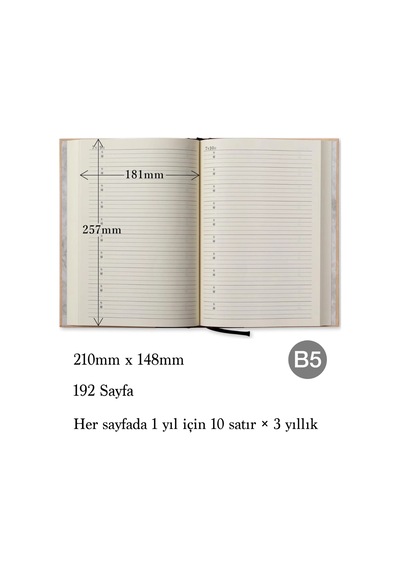 Apica B5 10 Yıllık Günlük D313 Bej