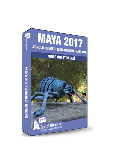Maya Arnold Render, Işıklandırma Video Ders Eğitim Seti