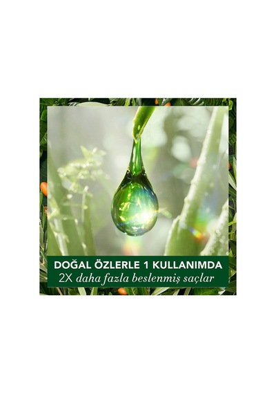 Vegan Şampuan Onarıcı Argan Yağı 350ml X 2 Adet Tüm Saç Tipleri