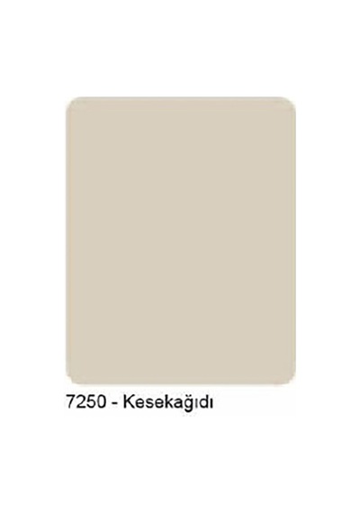 Saf Akrilik Dönüşüm Boyası -0,5 Lt Diğer