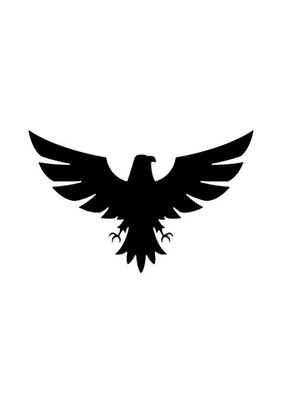 Kartal Sticker Oto Motor Laptop Duvar Folyo Sticker 20x30 Cm