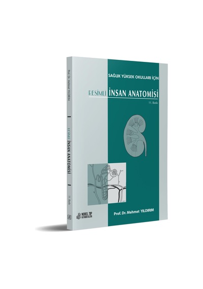 Sağlık Yüksek Okulları İçin Resimli İnsan Anatomisi 11. Baskı