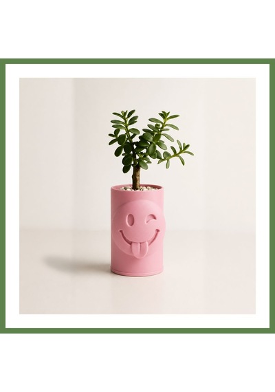Bezos 3d Baskı Emoji Planter - Göz Kırpan Yüzlü Sukulent Saksısı-pembe Hb006
