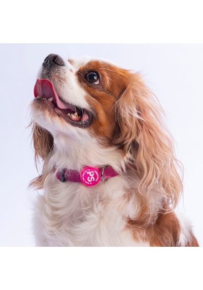 Fuşya Köpek Boyun Tasması Ayarlanabilir Köpek Tasması Pembe