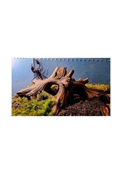 Akvaryum Ve Terraryum İçin Dekoratif Kök