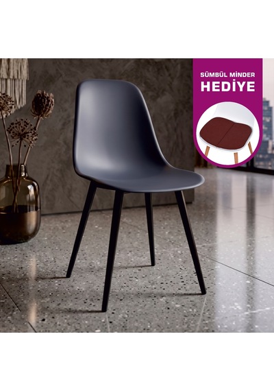 Vilinze Eames Siyah Ahşap Ayak Plastik Füme Sandalye Eames-beyaz Füme - Siyah