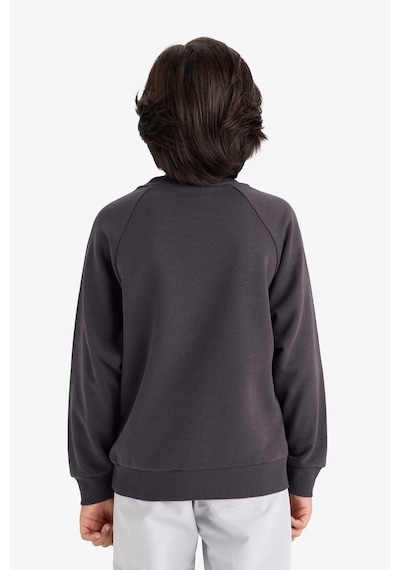 Defacto Erkek Çocuk Regular Fit Bisiklet Yaka Sweatshirt E8415a825auar138 Antrasit