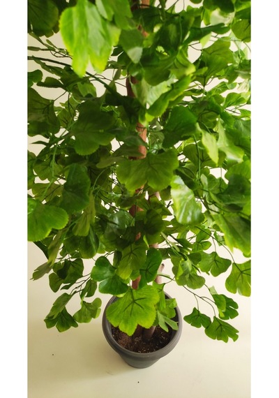 Rüzgar Yapay Çiçekçilik 180 Cm Yeşil Sakura Ağacı Yeşil