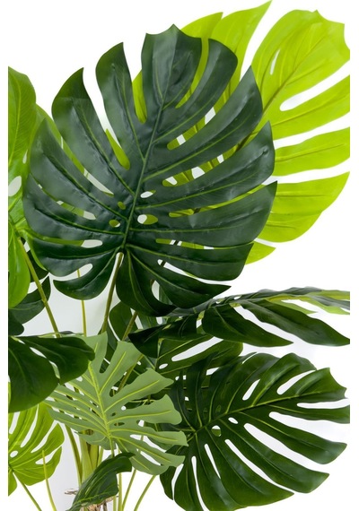 Biçiçek Yapay Monstera Ağacı Deve Tabani 150 Cm Geoi̇t Hasir Saksıda
