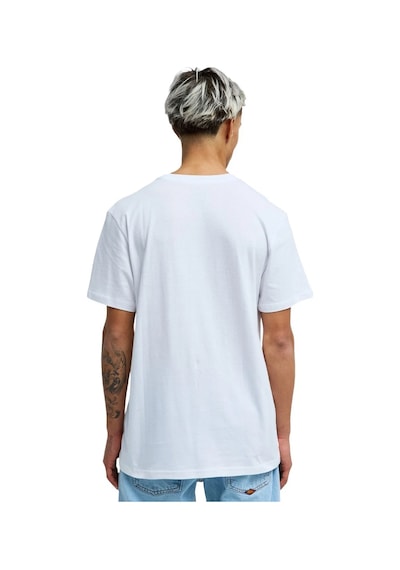 Quiksilver Ev Horizon Fade Erkek Tişört BEYAZ