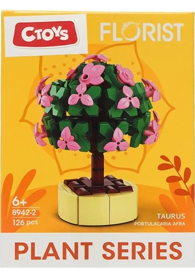 Ctoys Florist Burçlar Saksılı Bitki Yapım Seti Taurus 8942 2