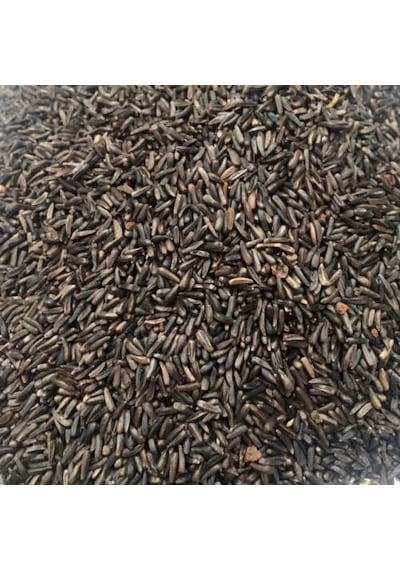 Nijer Tohumu 1000 Gr Kuşlar için Nijer Tohum Yemi Kızıştırıcı Yem