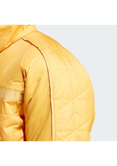 Adidas Terrex Multi Insulation Erkek Mont 001