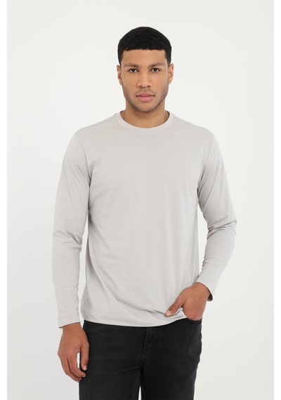 Dufy Erkek Regular Fit Bisiklet Yaka Gri Sweatshirt-25506