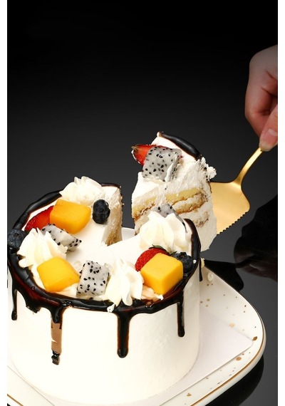 Çelik Pasta Spatula Bıçak Seti Kek Sunum Cin615sr