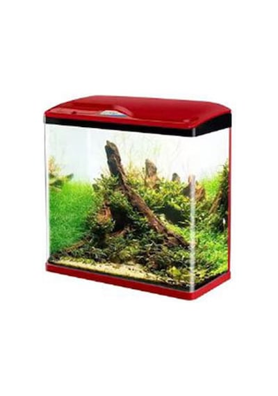 Sobo Komple Akvaryum 30 x 19 x 33.5 CM Kırmızı