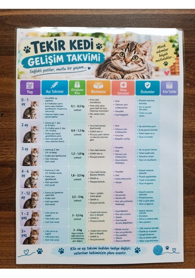 Tekir Kedi Gelişim Takvimi A4 Laminasyon Kaplı Kedi Takvimi Ortalama Kilo Beslenme Hastalık Ve Kilo Takip Tablosu