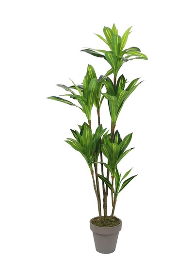 Yapay Drasena Ağacı 200 cm