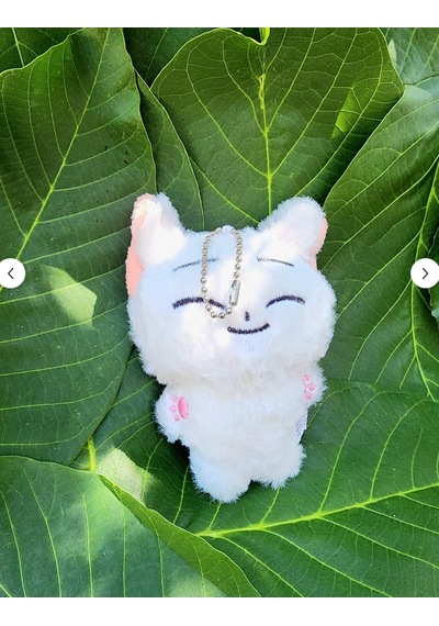 Pepikon Enhypen Skzoo Kpop Peluş Oyuncak Anahtarlık 10 Cm Süpriz Hediyelidir Beyaz