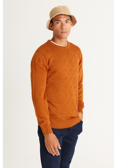 AC&Co / Altınyıldız Classics ERKEK KIREMIT Standart Fit Normal Kesim Bisiklet Yaka Jakarlı Triko Kiremit AC&Co / Altınyıldız Classics ERKEK KIREMIT Standart Fit Normal Kesim Bisiklet Yaka Jakarlı Triko Kiremit