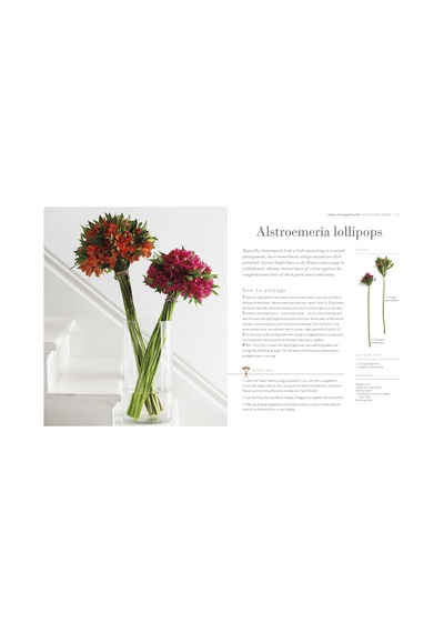 Simple Flower Arranging Çok Renkli