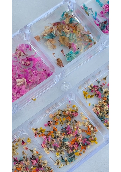 12li İnce Küçük Boy Kuru Çiçek Tırnak Süsleme Nail Art Çiçek Wn-519