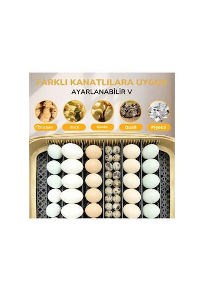 24 Yumurta Kapasiteli Kuluçka Makinesi, Otomatik Çevirme, Isı & Nem Kontrolü, 360 Görüş, Tavuk-örde