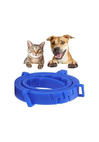 Mucit Home Köpek Pire Ve Bit Kovucu Engelleyeci Tasma Boyunluk 62 Cm Çok Renkli