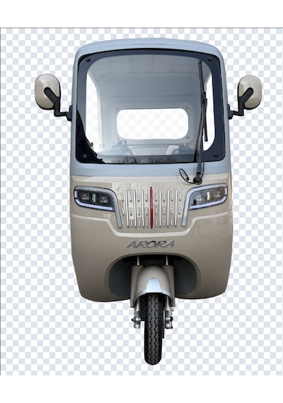 Arora Derya New 1000W 72V 32AH 3 Tekerlekli Elektrikli Motosiklet Kahverengi