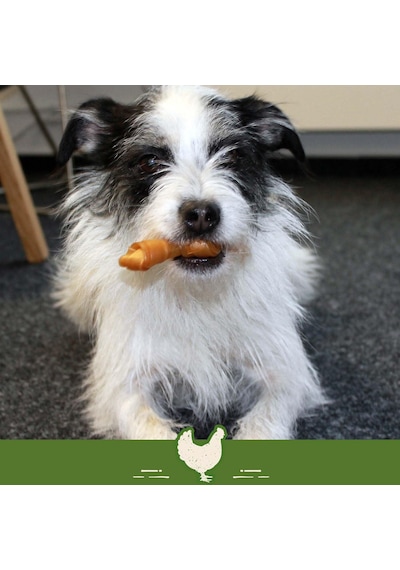 Chicken Mini Küçük Boy Tavuklu Kemik 18'li, 228 Gr Köpek Ödülü