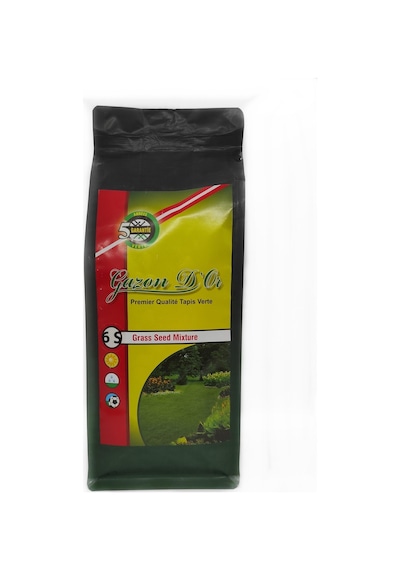 6s Dynastie Spor Alanları İçin İthal Çim Tohumu 1 Kg