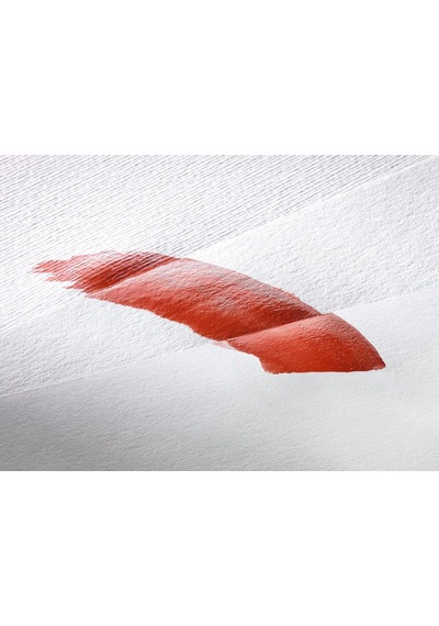 Ayrex Hahnemühle 10 628 970 Britannia Suluboya Blok Kağıdı, 17x24, 300 Gsm