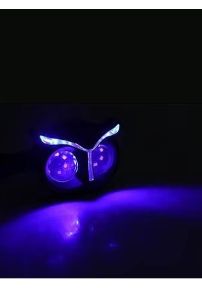 Baykuş Mavi Parklı Led Sinyal Takım