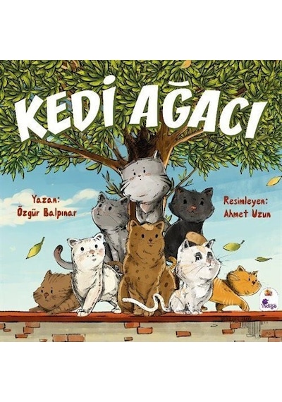 Kedi Ağacı / Özgür Balpınar