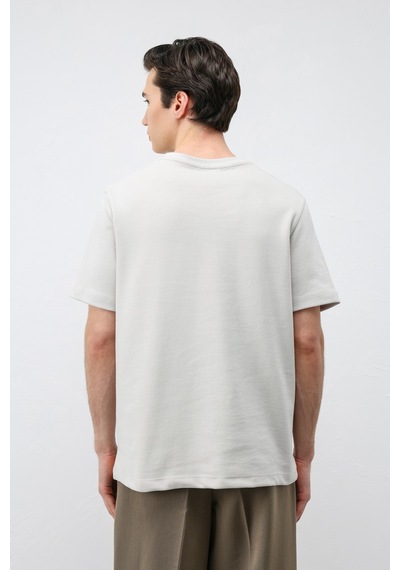 Antioch Regular Fit Basic Erkek T-shirt Gri