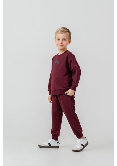 U.S. Polo Assn. Erkek Çocuk Nakışlı Mor Uzun Kol Eşofman Takımı Us2631-c-v2 Us2631-c-v2