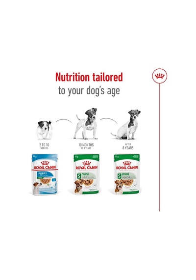 Mini Ageing Küçük Irk Yaşlı Köpek Konservesi +12 Yaş 85 Gr X 12 Adet