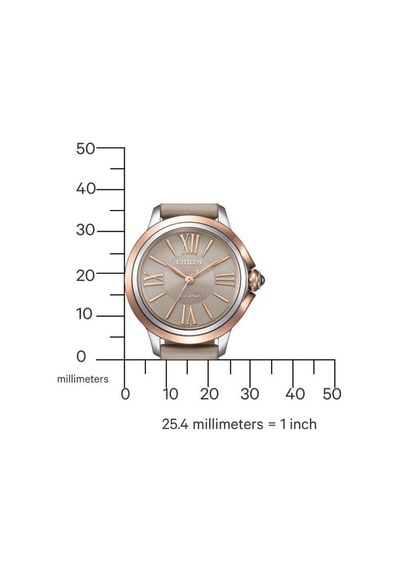 Citizen Em1166-01z Eco-drive Kadın Kol Saati Metalik Gri