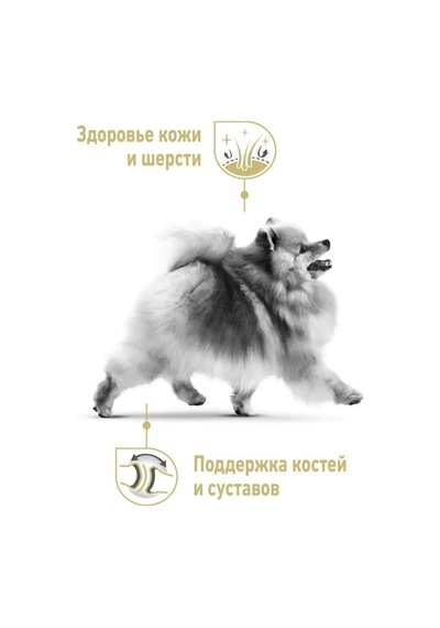 Royal Canın Royal Canin Pomeranian Adult Pate 12 Adet 85 Gr 134712136