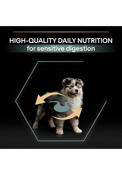Puppy Sensitive Digeston Kuzu Etli Yavru Köpek Maması 3 Kg