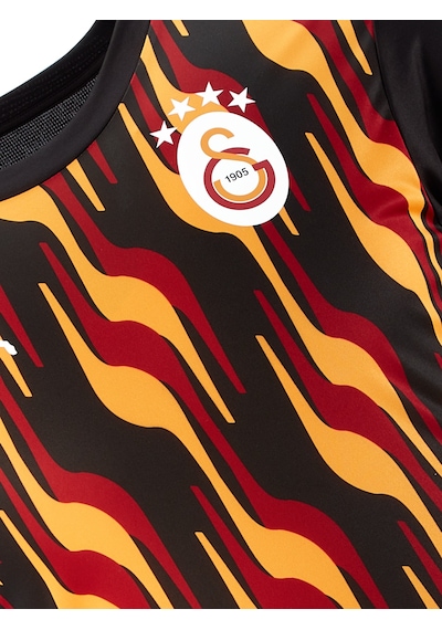 Galatasaray Puma A Takım Antrenman T-shirt 77969312