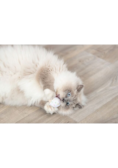 Trixie - 47 - Kedi Oyuncağı, Dondurma Ve Kek Şeklinde, Peluş, - Hcctrend - Kediotlu 7cm