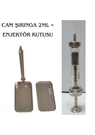 Birgi Paslanmaz Çelik Cam Şırınga 2 Ml + Enjektör Kutusu