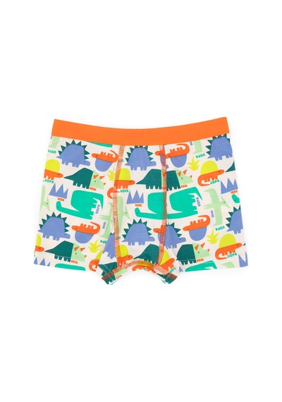U.S. Polo Assn. Erkek Çocuk 3'lü Boxer Takım 50319387-VR036