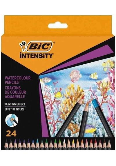 Bic Intensty Kuru Sulu Boya 24 Lü 511727 Standart